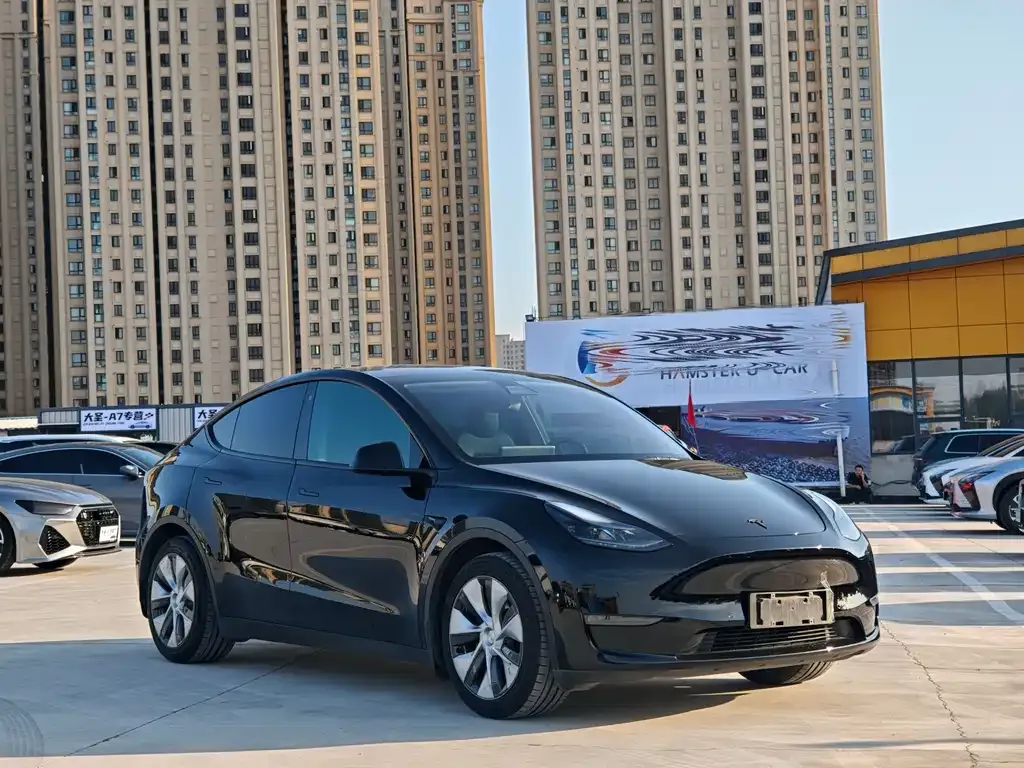 Tesla Model Y 2021 из CN, фото 3