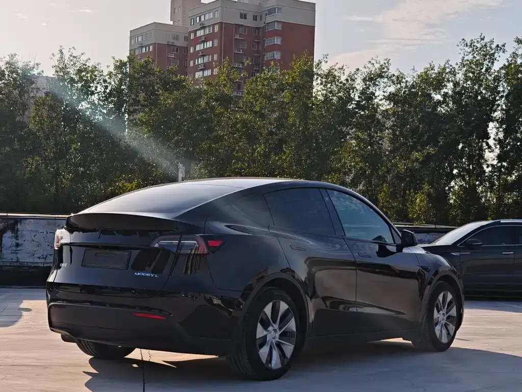 Tesla Model Y 2021 из CN, фото 7