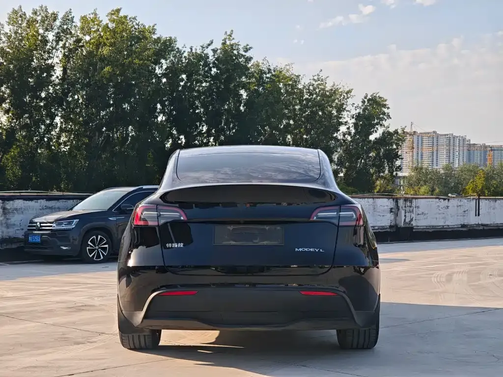 Tesla Model Y 2021 из CN, фото 8