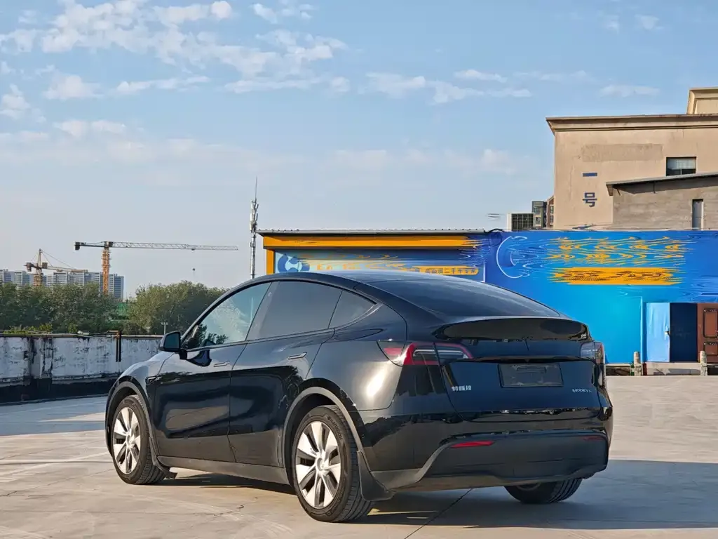 Tesla Model Y 2021 из CN, фото 9