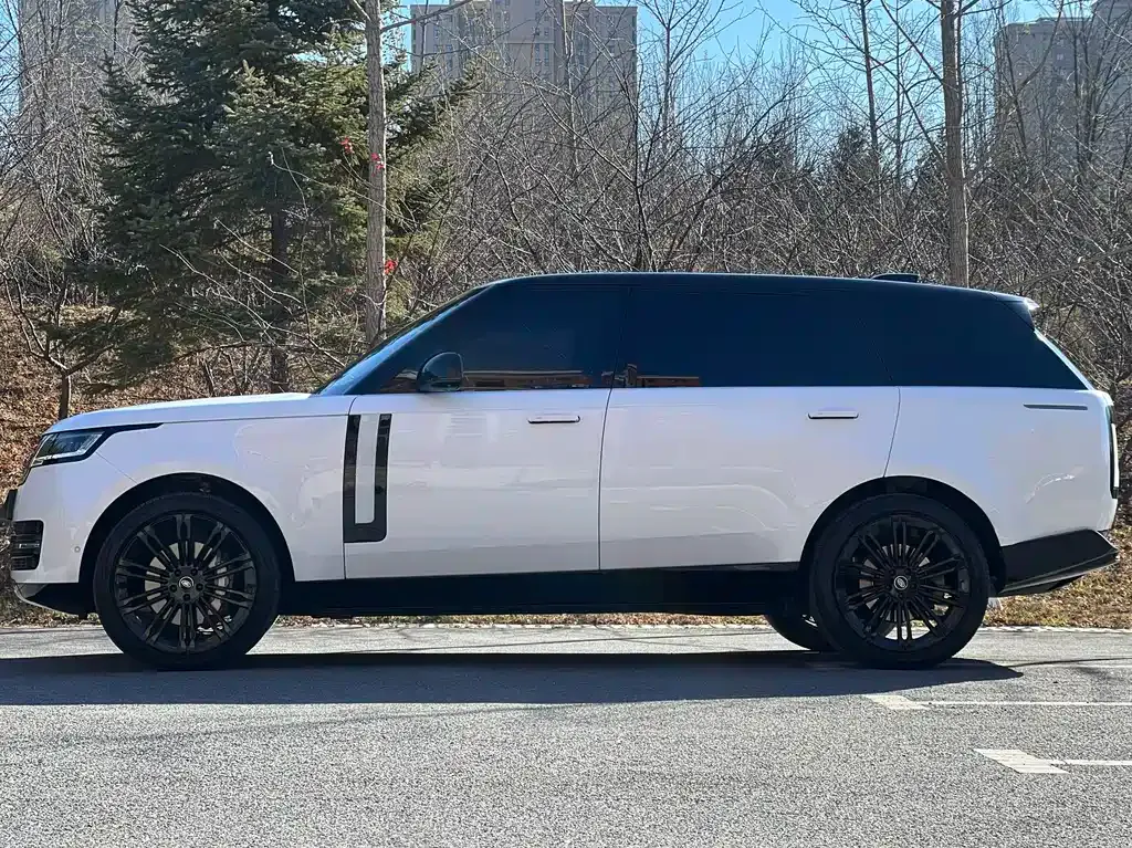 Land Rover Range Rover 2024 из CN, фото 3