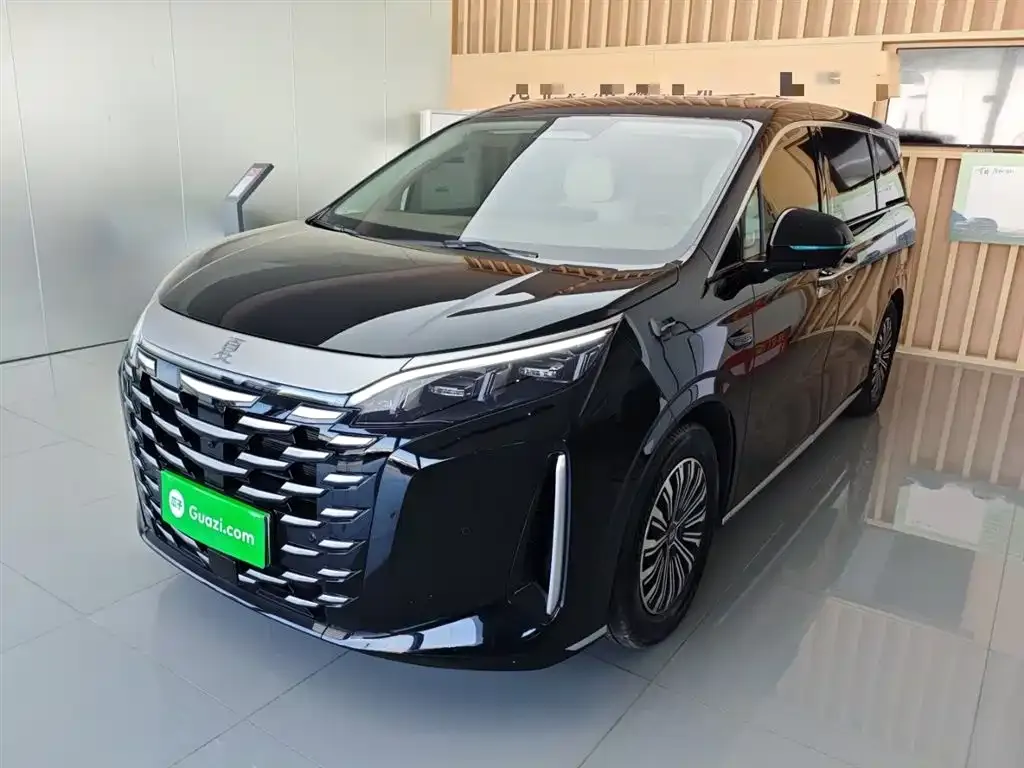 BYD Xia 2025 из CN, фото 1