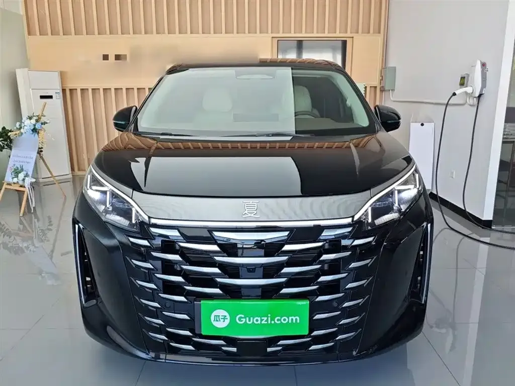 BYD Xia 2025 из CN, фото 3