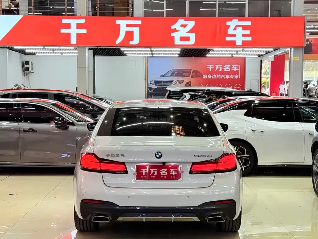 BMW 5 Series 2023 из CN, фото 4