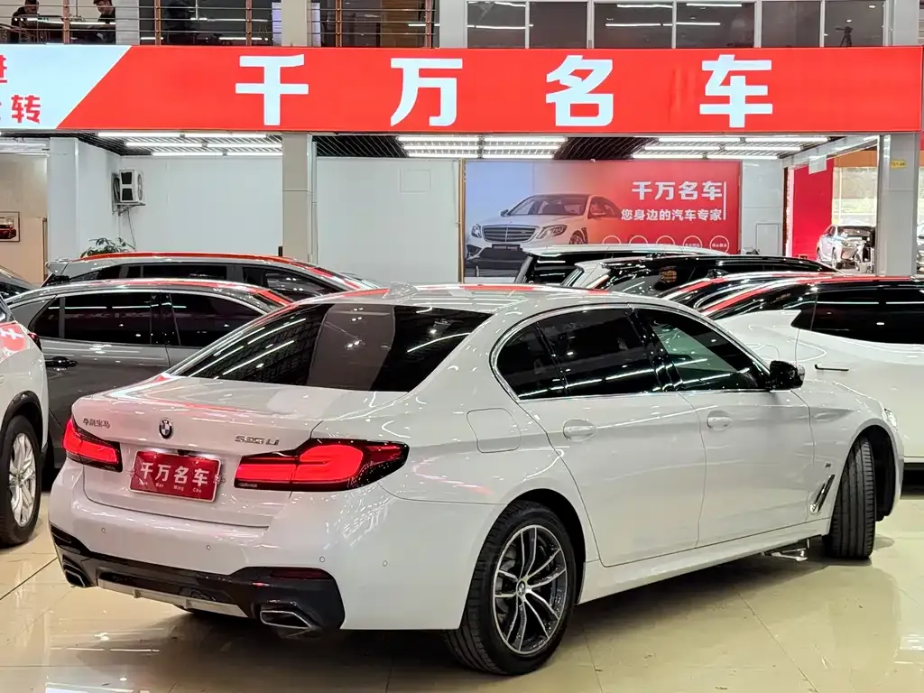 BMW 5 Series 2023 из CN, фото 6