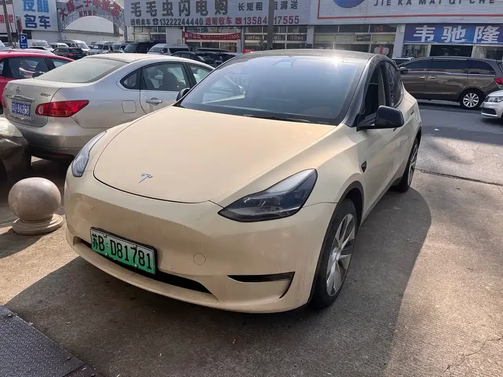 Tesla Model Y 2021 из CN, фото 1