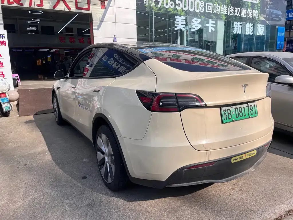 Tesla Model Y 2021 из CN, фото 5