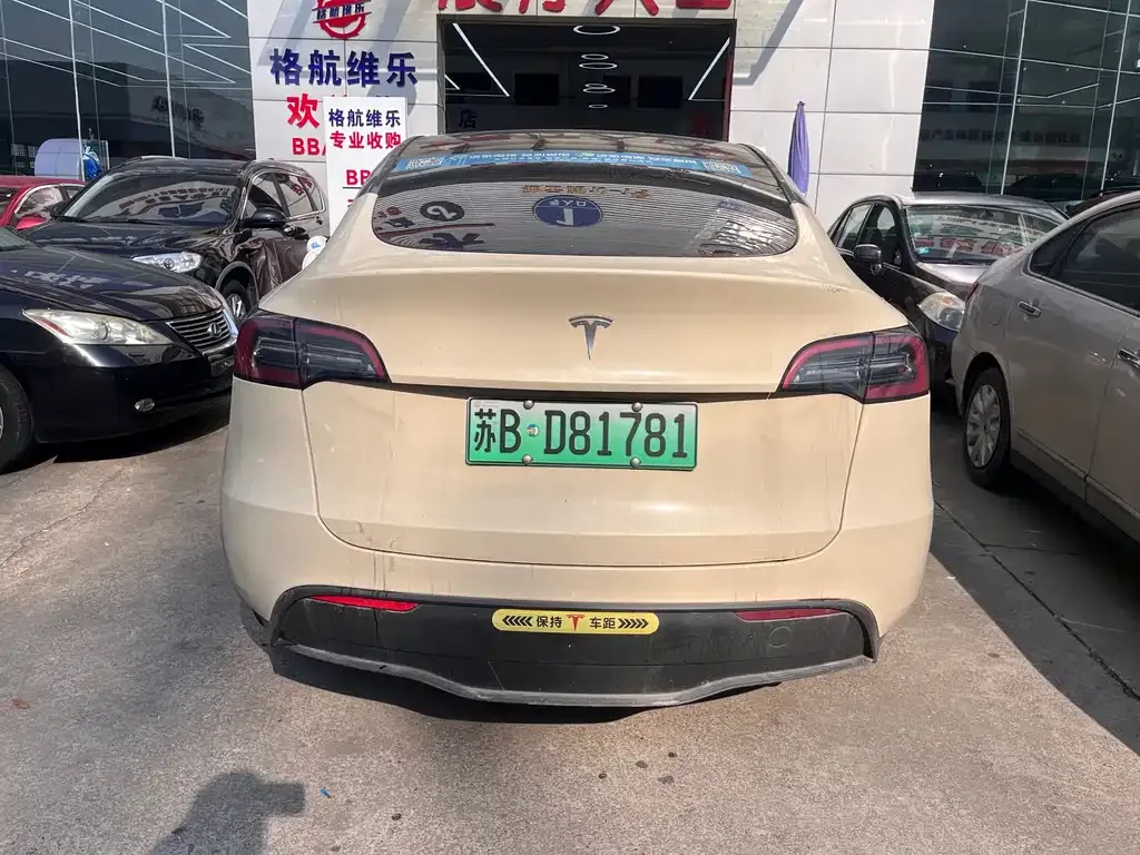 Tesla Model Y 2021 из CN, фото 6