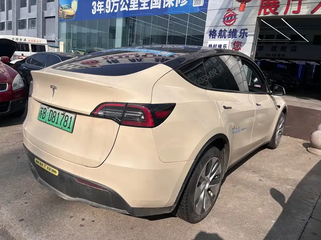 Tesla Model Y 2021 из CN, фото 7