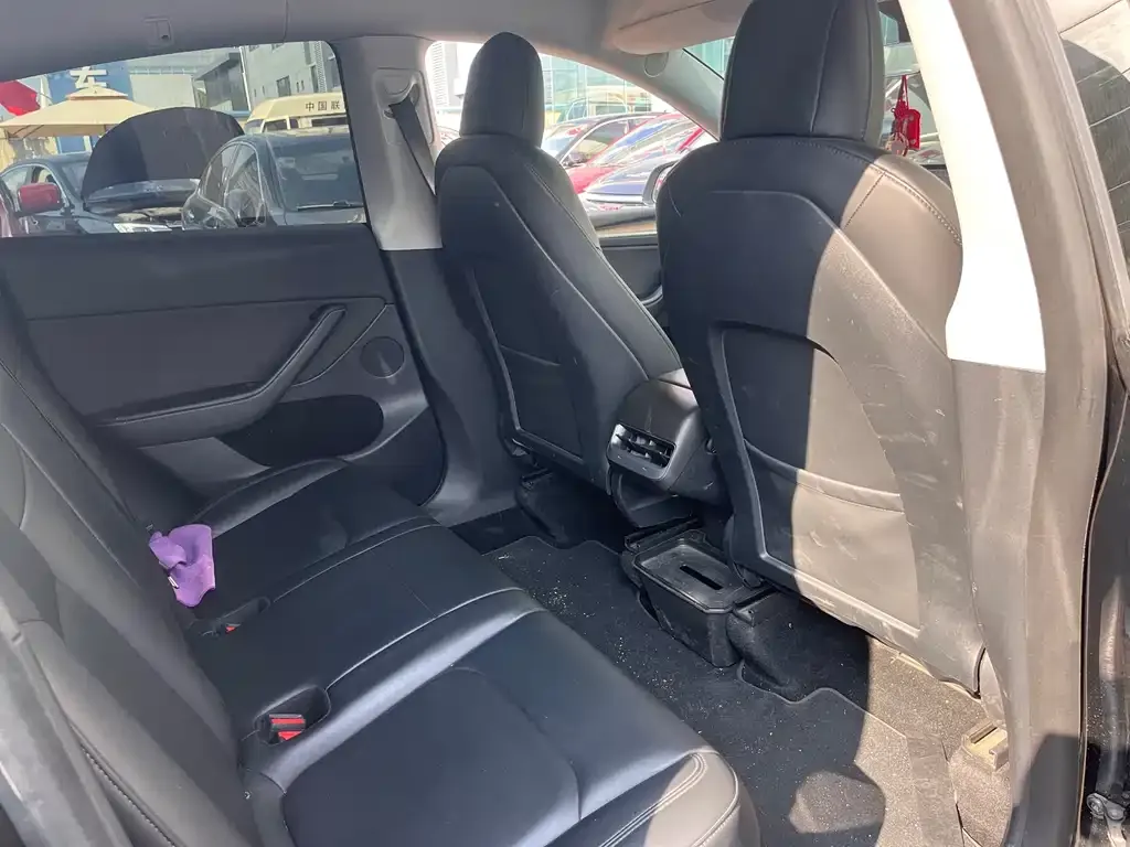 Tesla Model Y 2021 из CN, фото 8