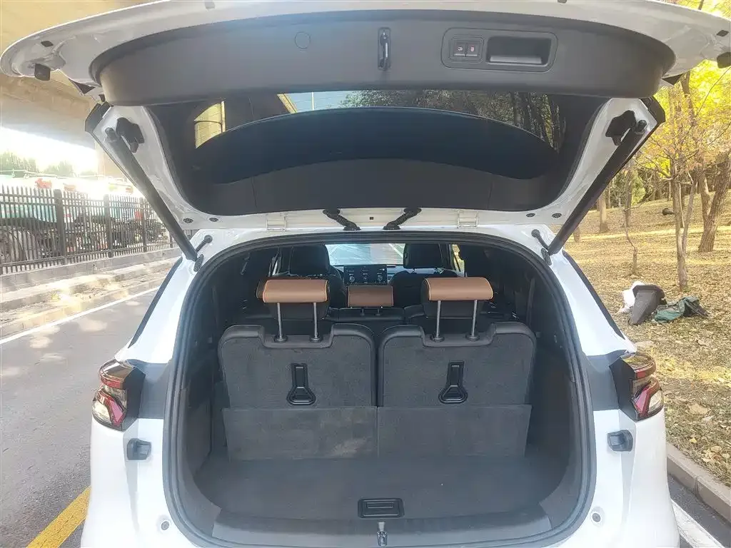 BYD Tang New Energy 2021 из CN, фото 10