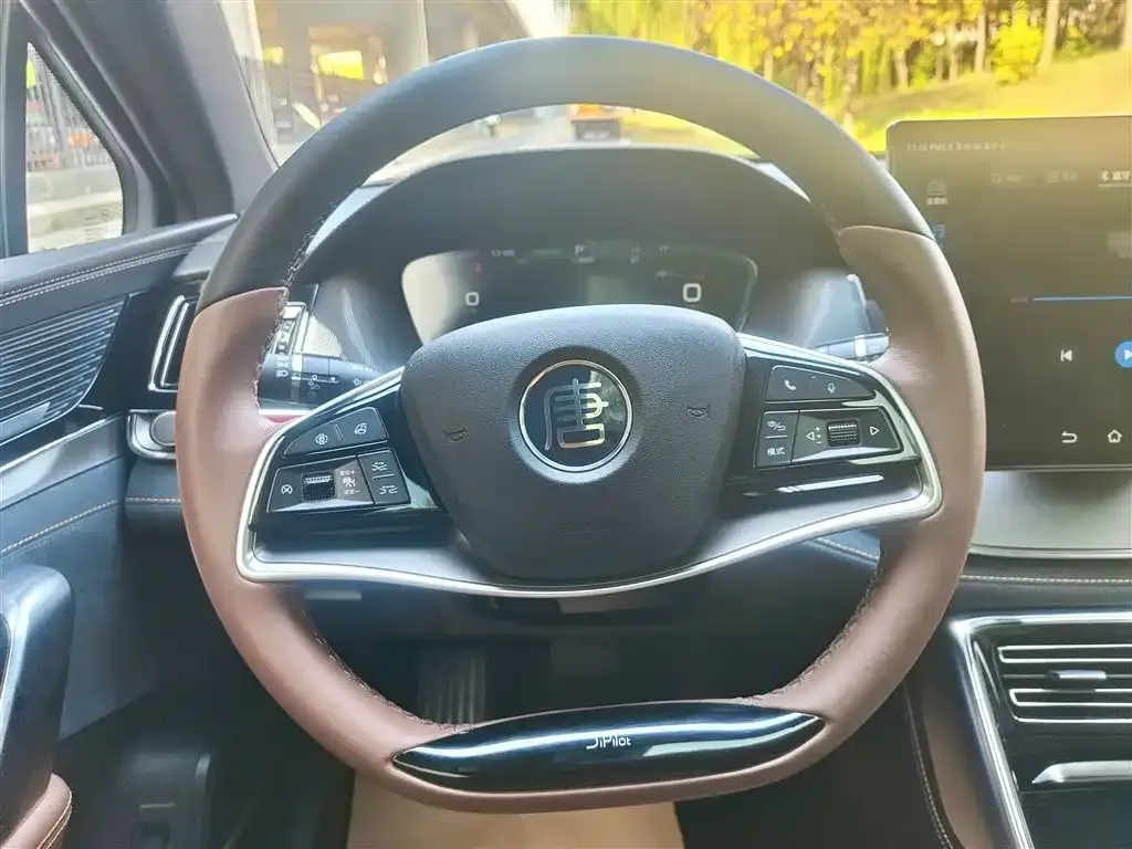 BYD Tang New Energy 2021 из CN, фото 3