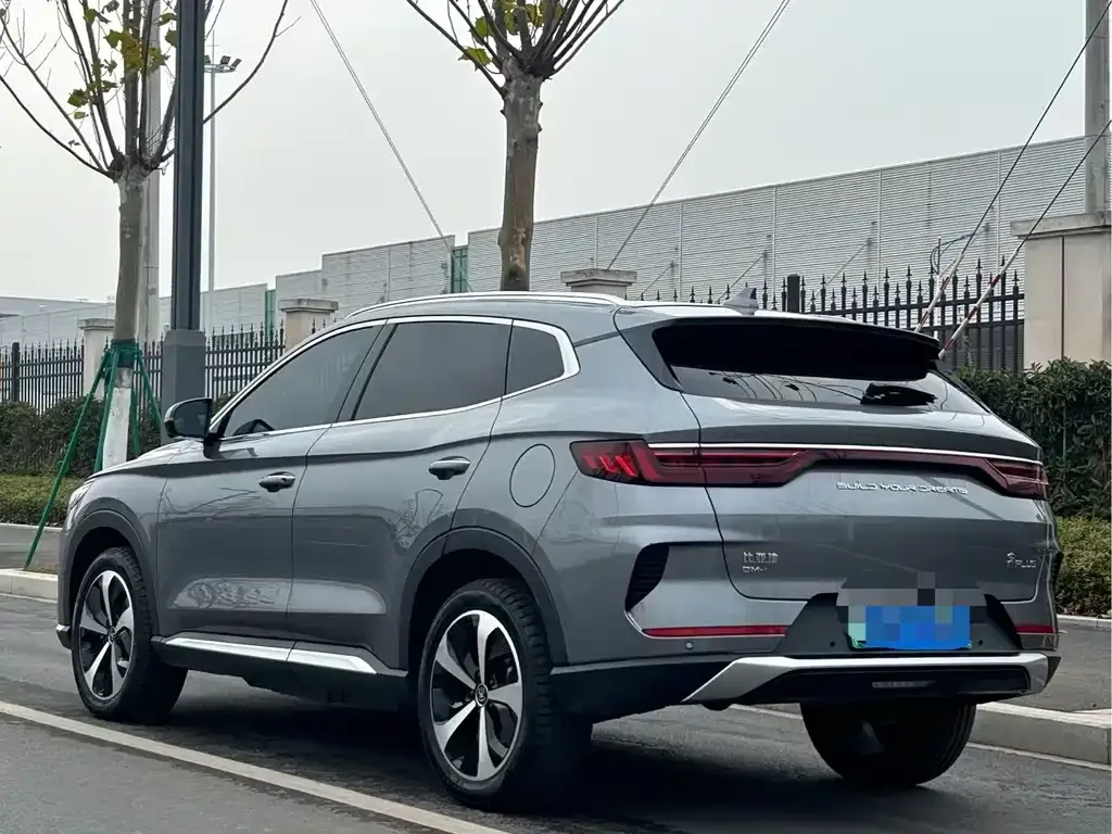 BYD PLUS New Energy 2023 из CN, фото 3