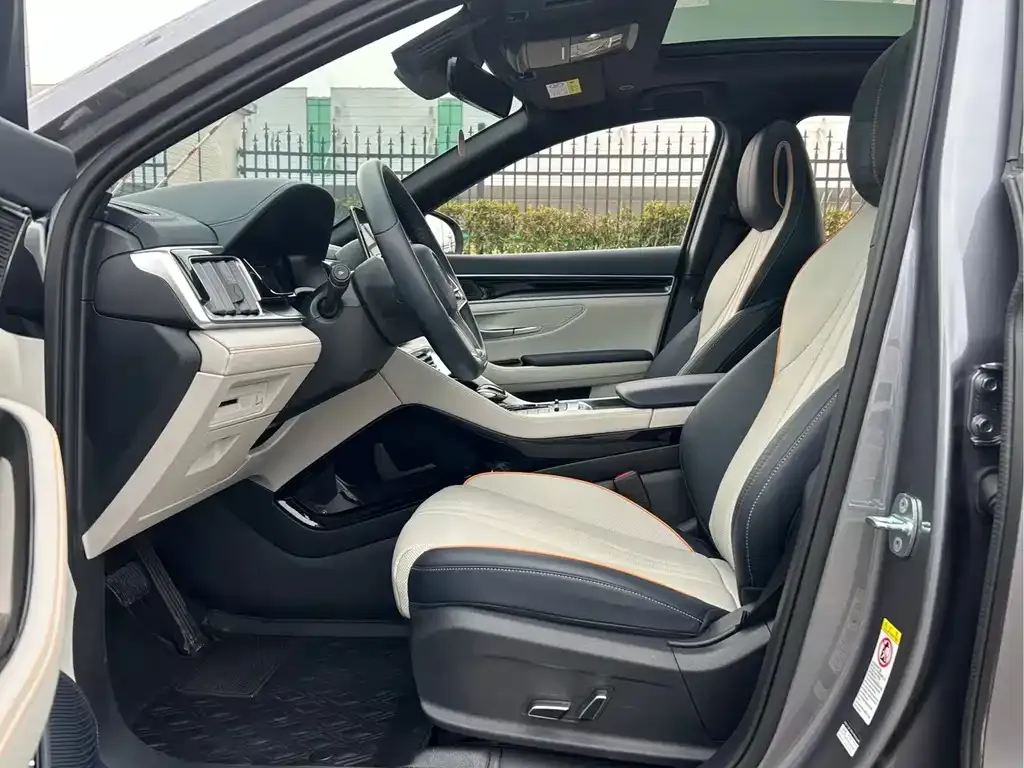 BYD PLUS New Energy 2023 из CN, фото 4
