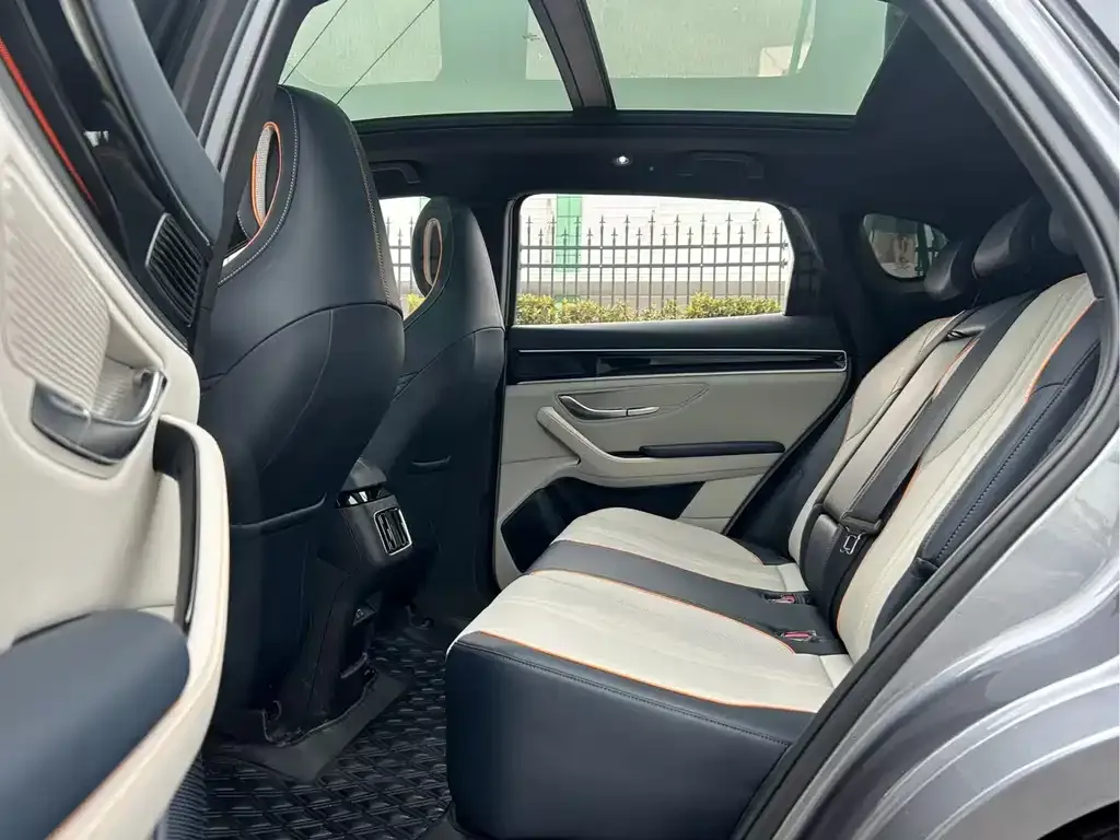 BYD PLUS New Energy 2023 из CN, фото 5