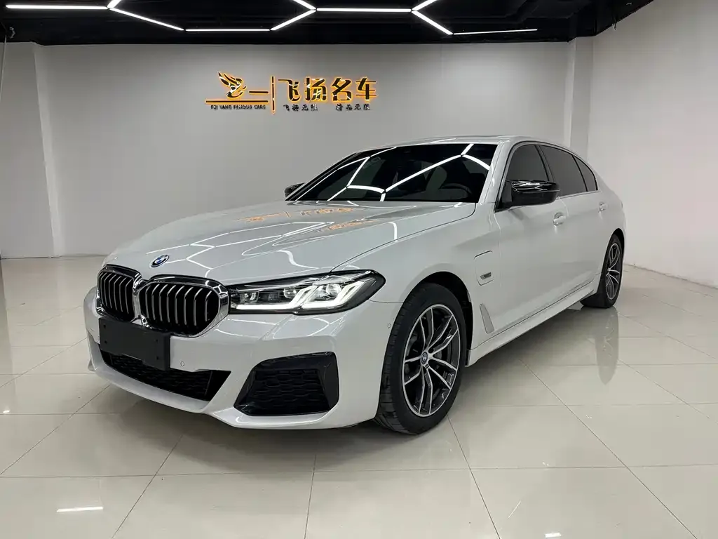 BMW 5 Series New Energy 2022 из CN, фото 1