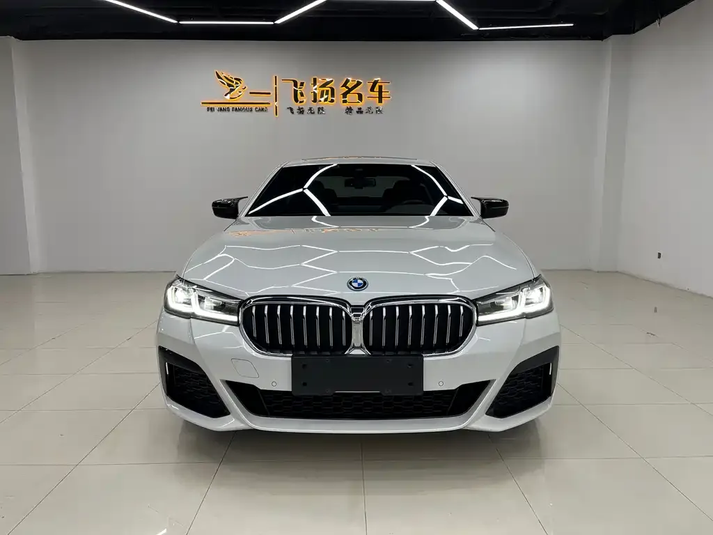 BMW 5 Series New Energy 2022 из CN, фото 2
