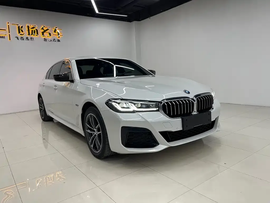 BMW 5 Series New Energy 2022 из CN, фото 3