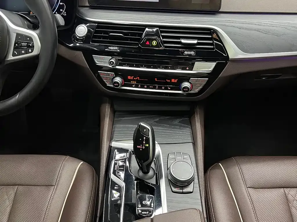 BMW 5 Series New Energy 2022 из CN, фото 5