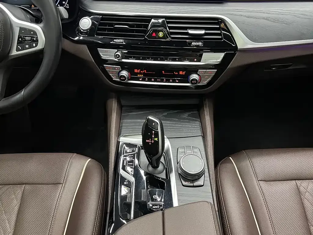 BMW 5 Series New Energy 2022 из CN, фото 9