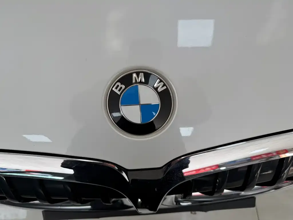 BMW 3 Series 2021 из CN, фото 4
