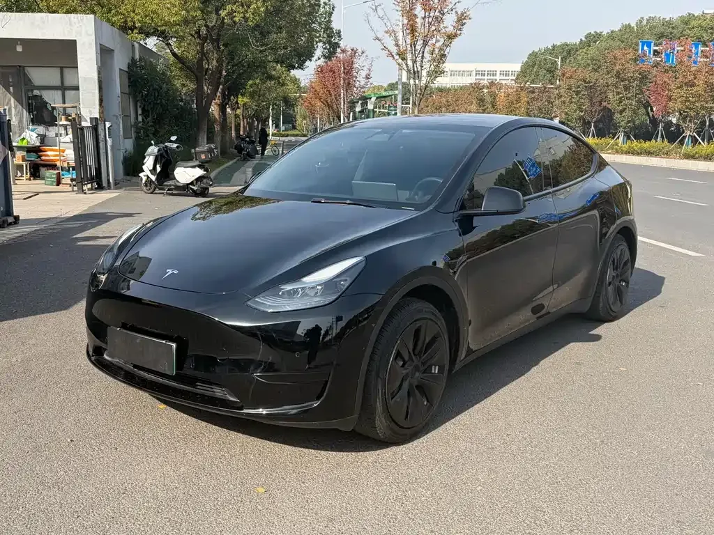 Tesla Model Y — фото 1