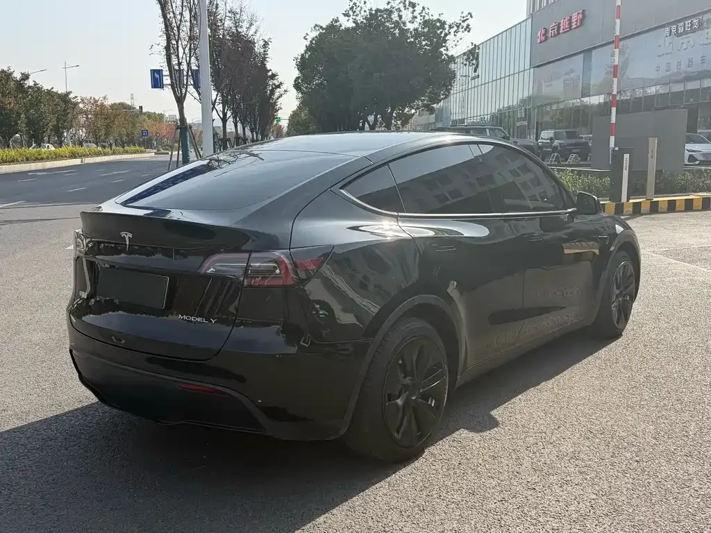 Tesla Model Y — фото 5