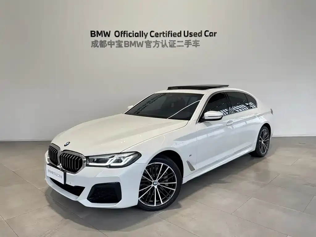 BMW 5 Series 2023 из CN, фото 1