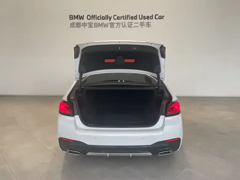 BMW 5 Series 2023 из CN, фото 10