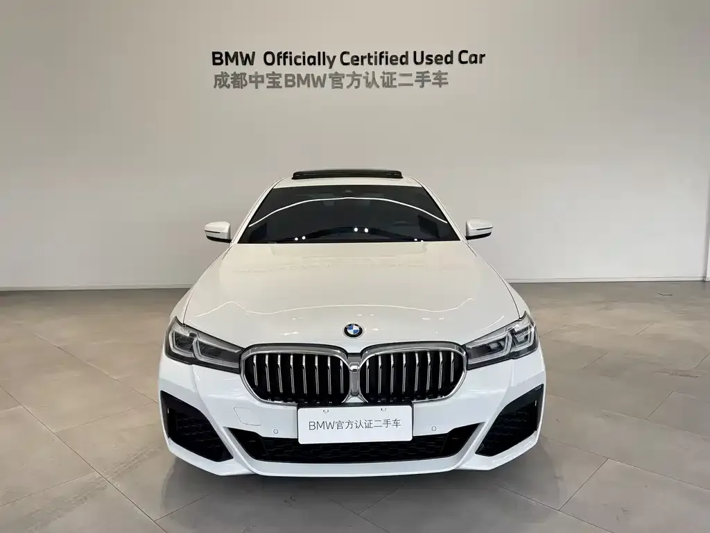 BMW 5 Series 2023 из CN, фото 2