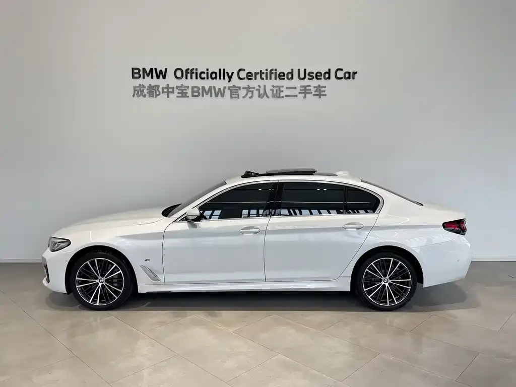 BMW 5 Series 2023 из CN, фото 3