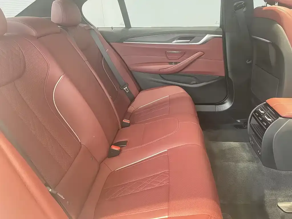 BMW 5 Series 2023 из CN, фото 8