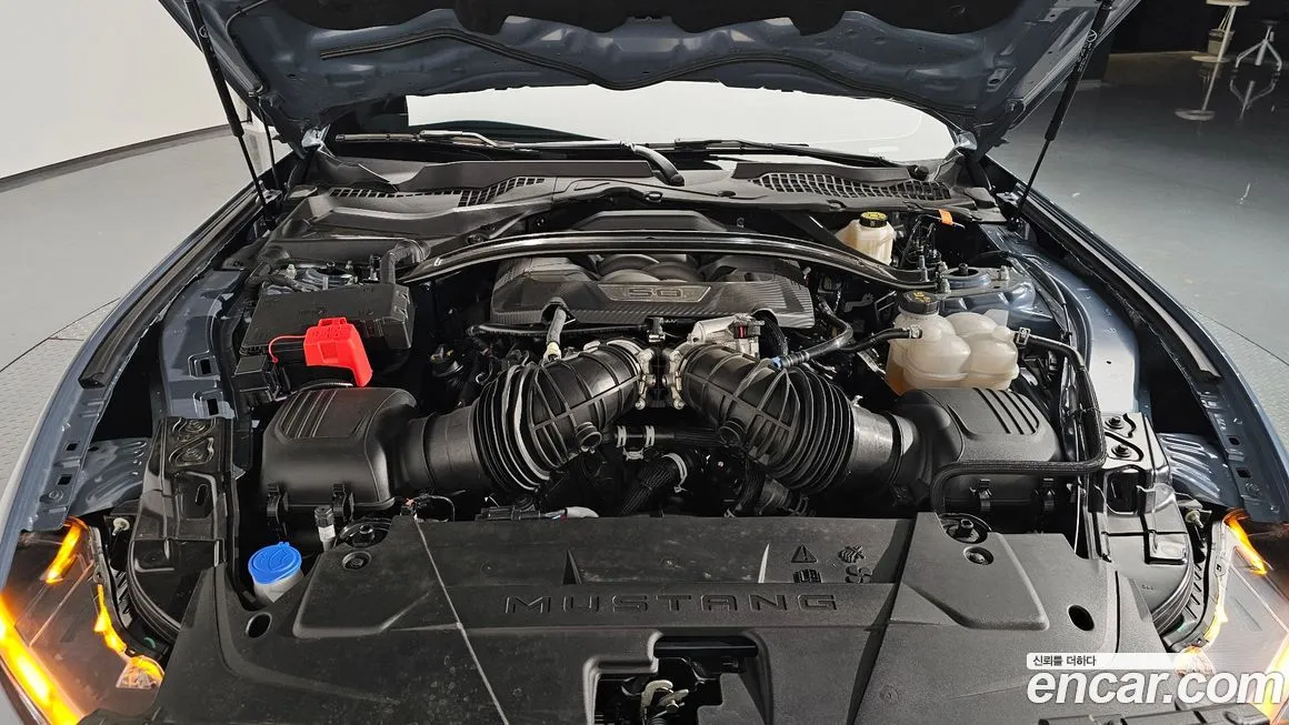 Ford Mustang 2024 из KR, фото 6