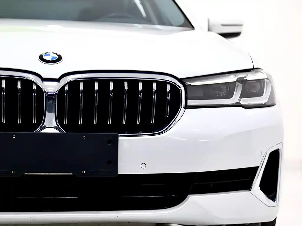 BMW 5 Series 2022 из CN, фото 10