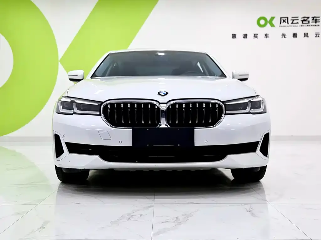 BMW 5 Series 2022 из CN, фото 2