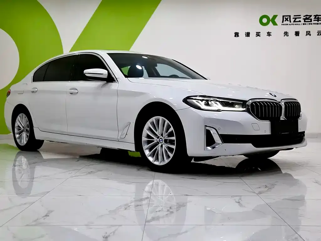 BMW 5 Series 2022 из CN, фото 3