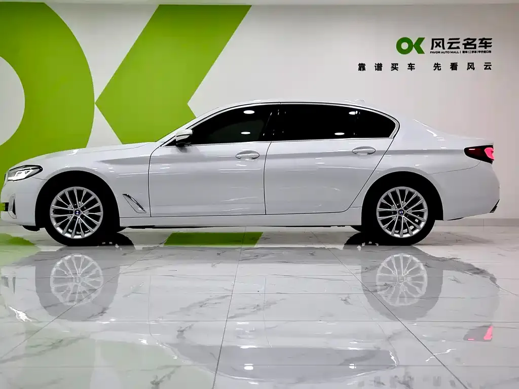 BMW 5 Series 2022 из CN, фото 4