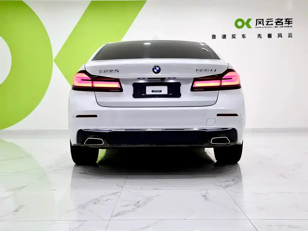 BMW 5 Series 2022 из CN, фото 5