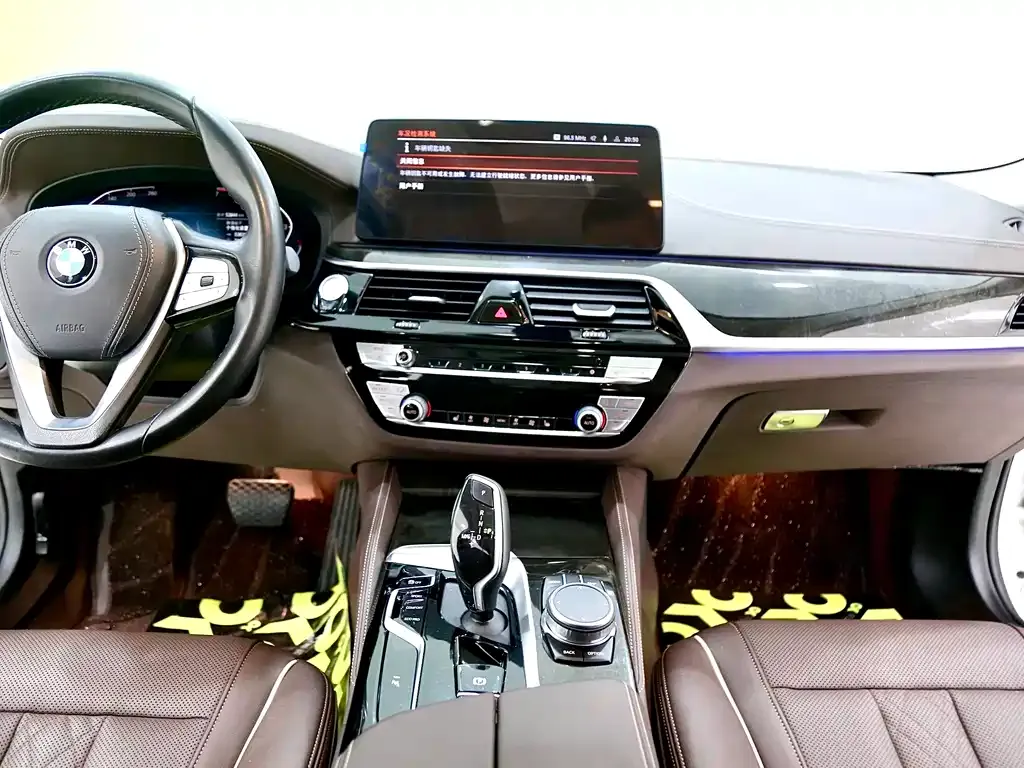 BMW 5 Series 2022 из CN, фото 7