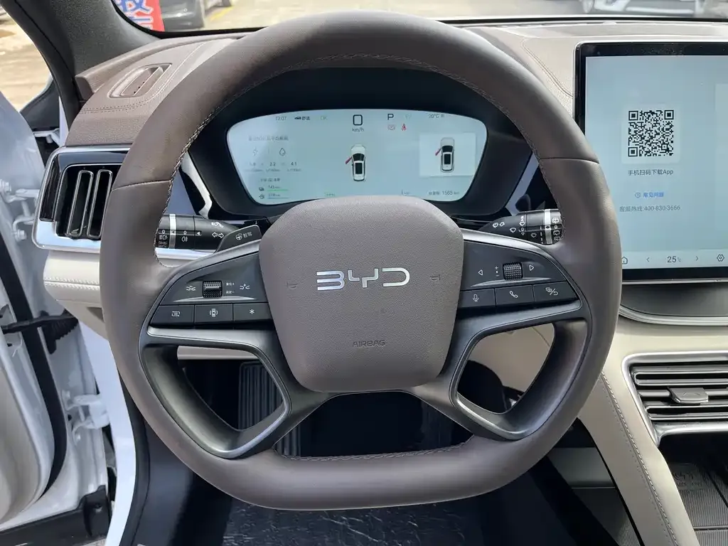 BYD PLUS New Energy 2025 из CN, фото 10