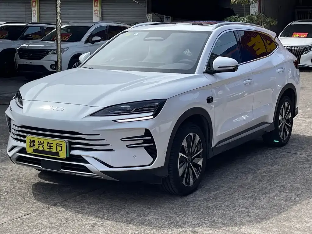 BYD PLUS New Energy 2025 из CN, фото 2