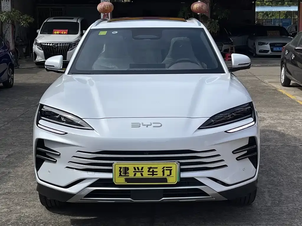 BYD PLUS New Energy 2025 из CN, фото 3