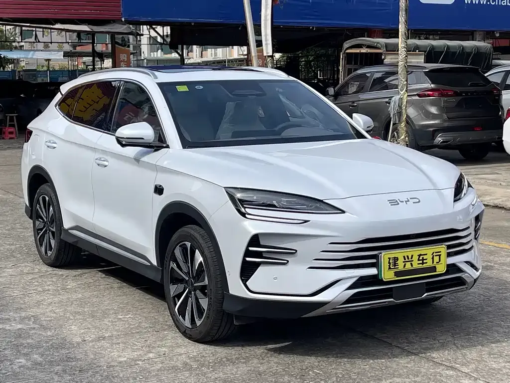 BYD PLUS New Energy 2025 из CN, фото 4