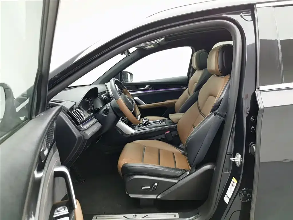 BYD Tang New Energy 2021 из CN, фото 10