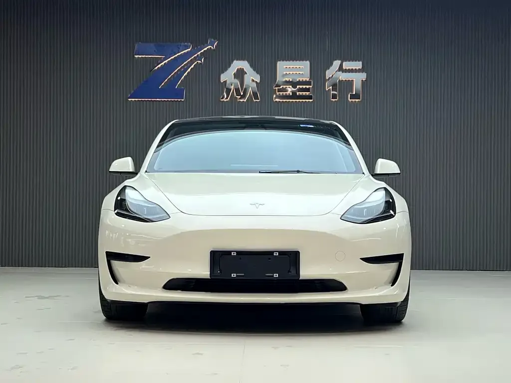Tesla Model 3 2021 из CN, фото 2