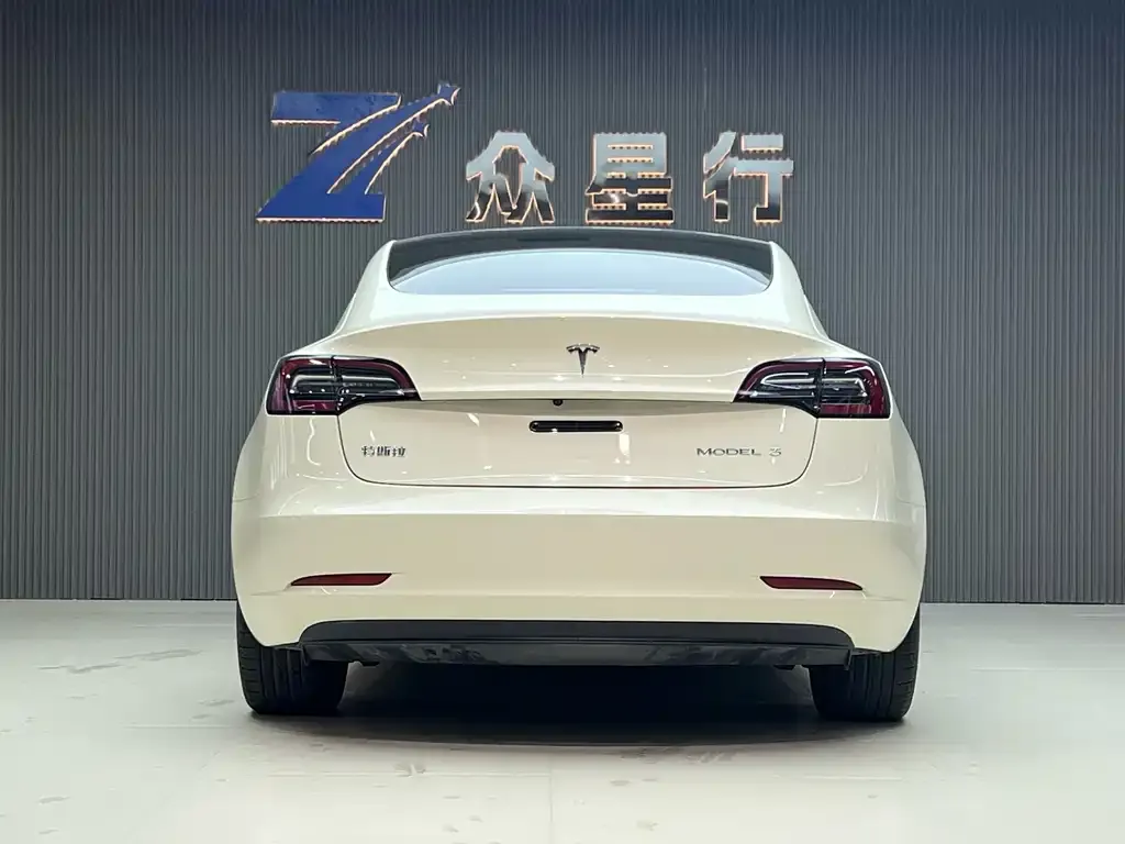 Tesla Model 3 2021 из CN, фото 3