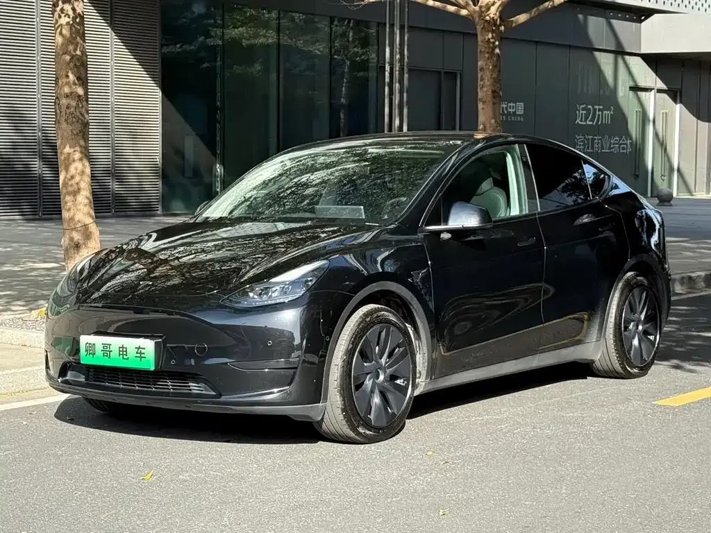 Tesla Model Y 2024 из CN, фото 1