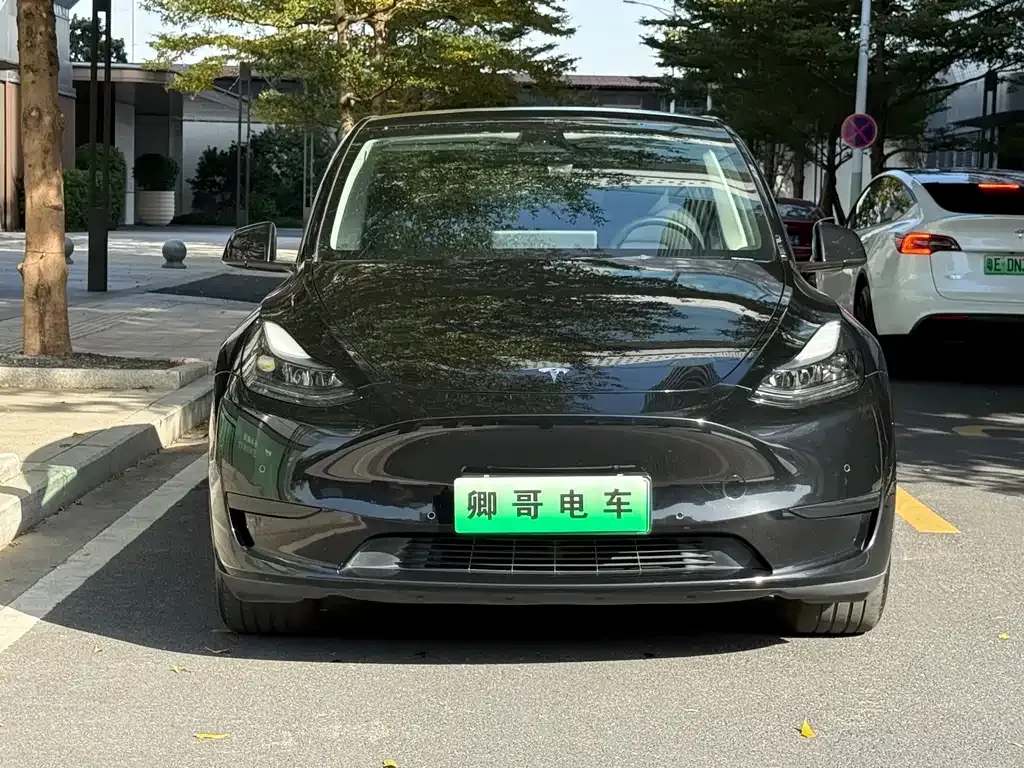 Tesla Model Y 2024 из CN, фото 2