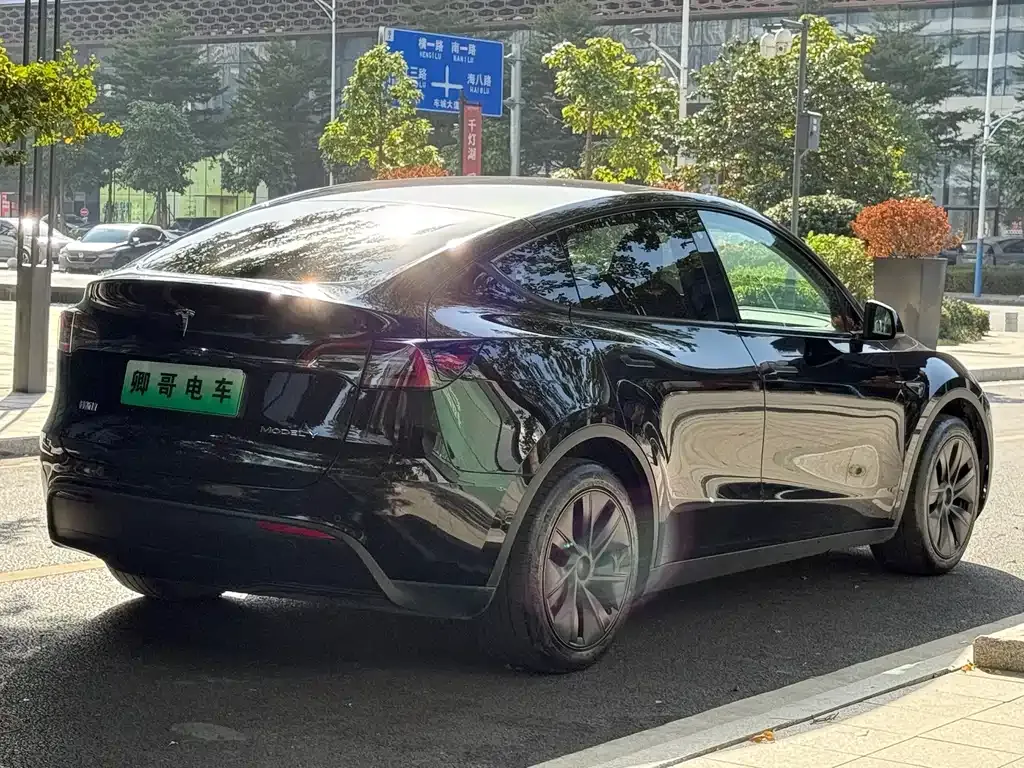 Tesla Model Y 2024 из CN, фото 6