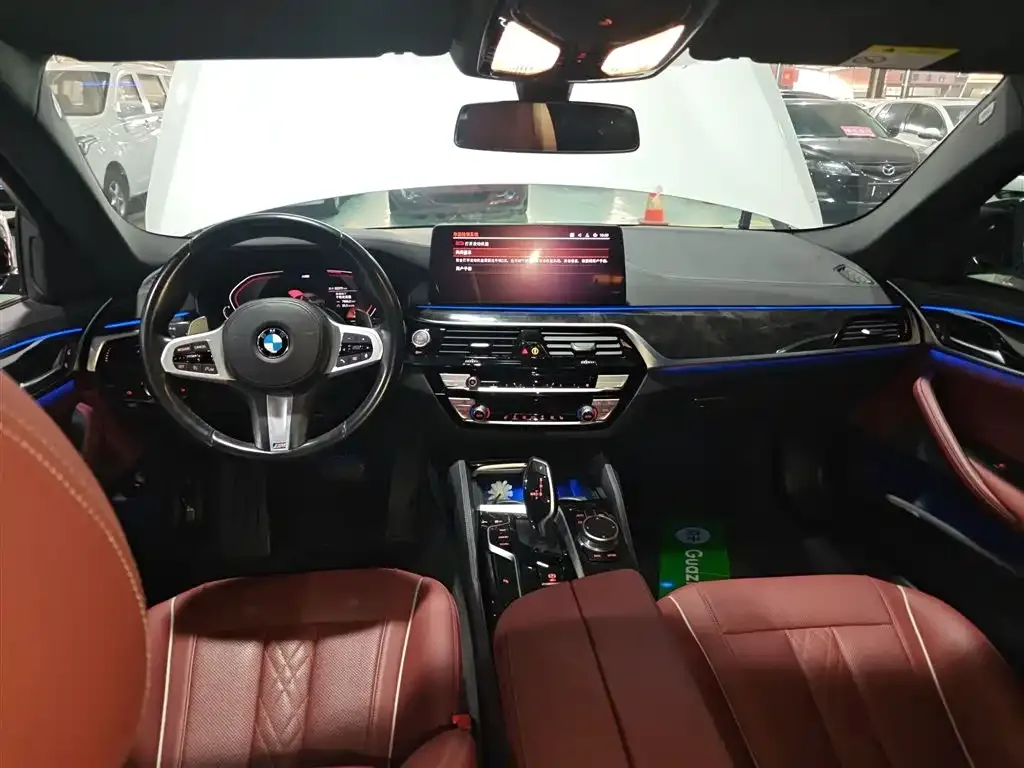 BMW 5 Series 2022 из CN, фото 10